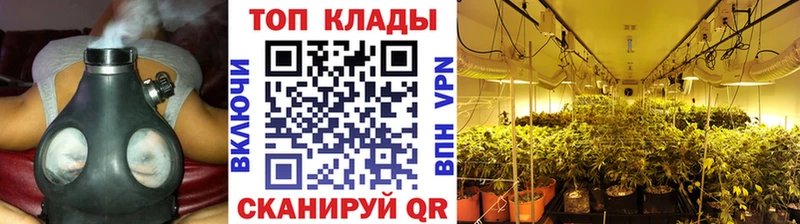 Магазин наркотиков Коряжма Гашиш  Каннабис  Alpha-PVP  ТГК  Меф  Псилоцибиновые грибы 