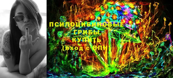 ECSTASY Белокуриха