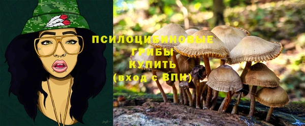 гашик Остров
